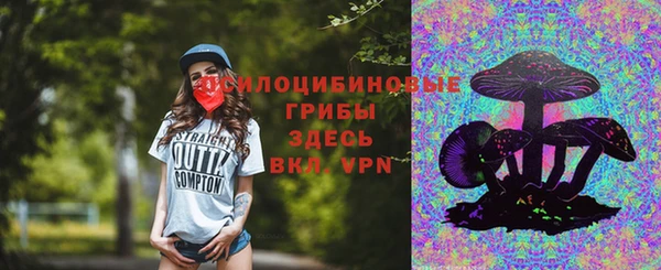 spice Богданович