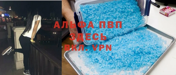 spice Богданович