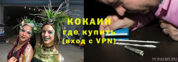spice Богданович