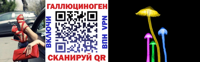 кракен ТОР  Славянск-на-Кубани  Галлюциногенные грибы Psilocybe 